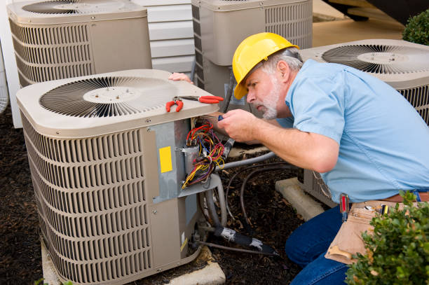 Best Best HVAC Companies  in East Lake Orient Park, FL