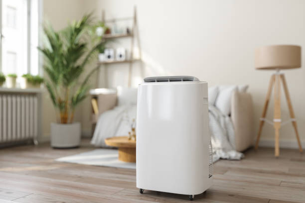 Best HVAC Maintenance Near Me  in East Lake Orient Park, FL